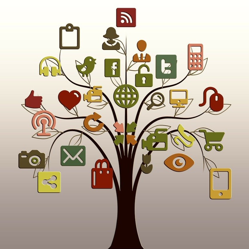Social & Cultural Relevance